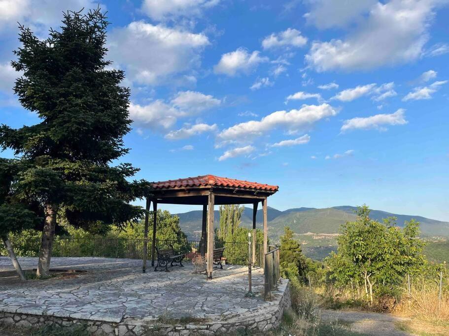 μιτάτο οίτη Pavliani